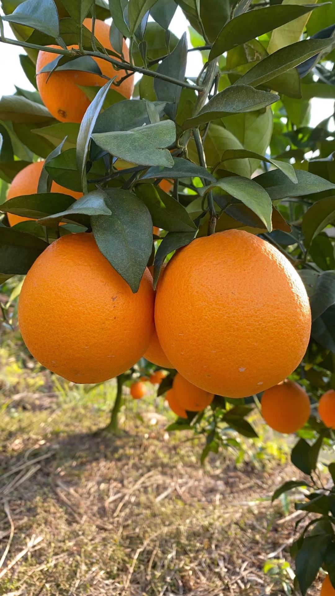 ΢ͼƬ_20201231161710.jpg